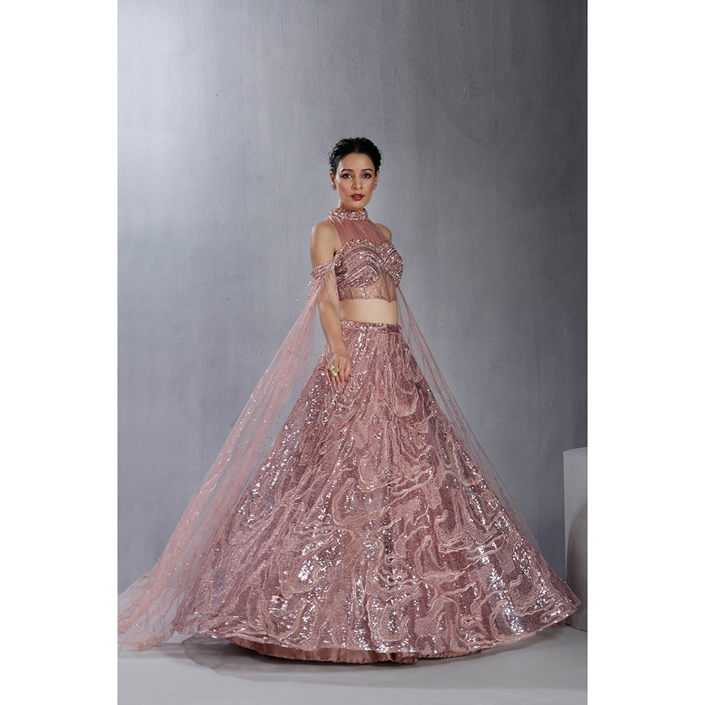 CHAASHNI BY MAANSI & KETAN Pink Embellished Net Lehenga with Choli and Dupatta (Set of 2)