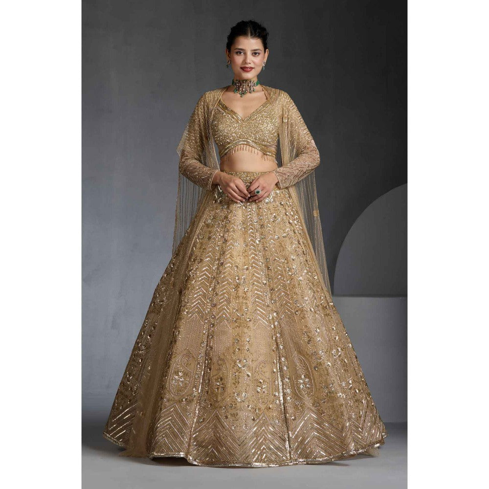 CHAASHNI BY MAANSI & KETAN Gold Embellished Net Lehenga with Choli and Cape (Set of 3)