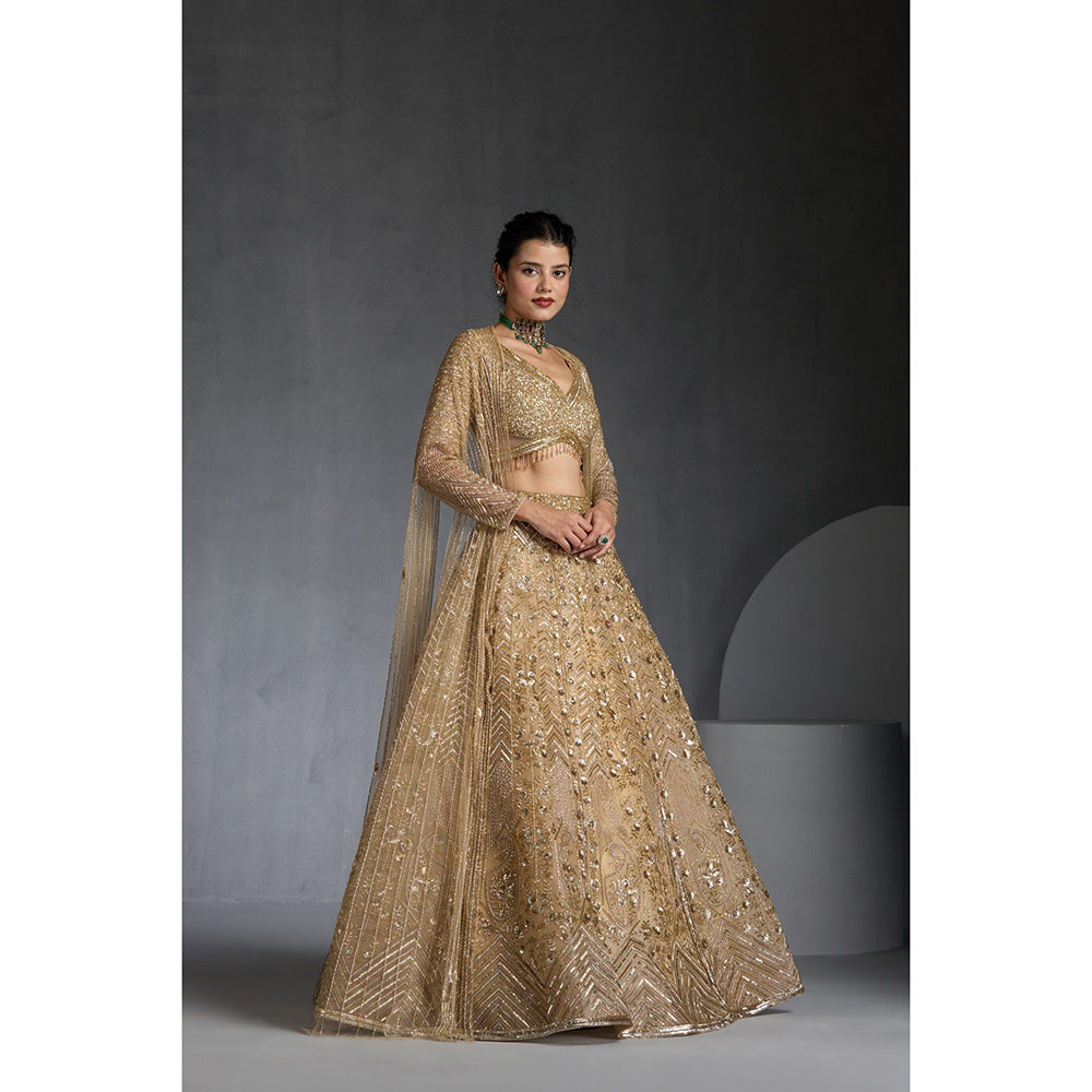 CHAASHNI BY MAANSI & KETAN Gold Embellished Net Lehenga with Choli and Cape (Set of 3)