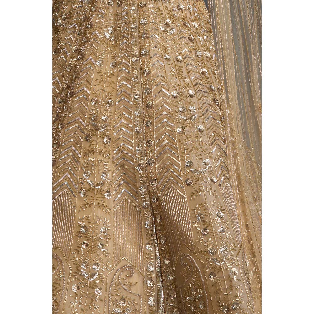 CHAASHNI BY MAANSI & KETAN Gold Embellished Net Lehenga with Choli and Cape (Set of 3)