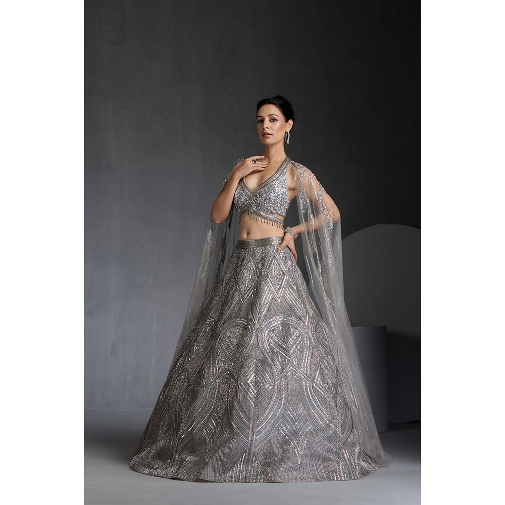 CHAASHNI BY MAANSI & KETAN Grey Embellished Net Lehenga with Choli and Dupatta (Set of 2)