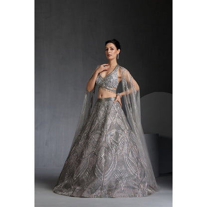 CHAASHNI BY MAANSI & KETAN Grey Embellished Net Lehenga with Choli and Dupatta (Set of 2)