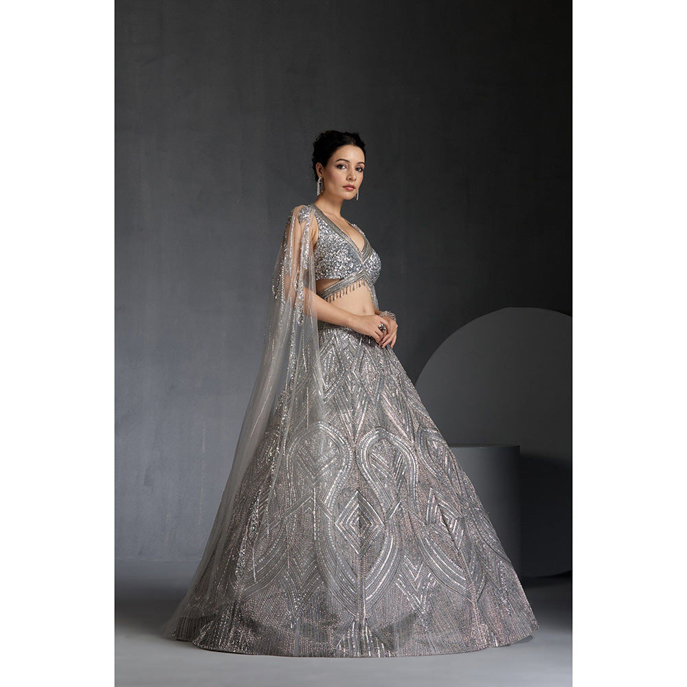 CHAASHNI BY MAANSI & KETAN Grey Embellished Net Lehenga with Choli and Dupatta (Set of 2)