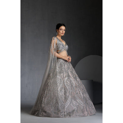 CHAASHNI BY MAANSI & KETAN Grey Embellished Net Lehenga with Choli and Dupatta (Set of 2)