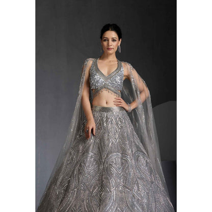 CHAASHNI BY MAANSI & KETAN Grey Embellished Net Lehenga with Choli and Dupatta (Set of 2)
