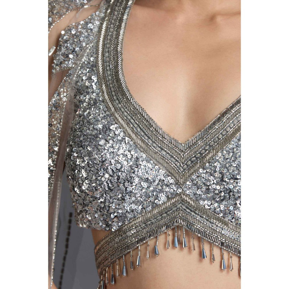 CHAASHNI BY MAANSI & KETAN Grey Embellished Net Lehenga with Choli and Dupatta (Set of 2)