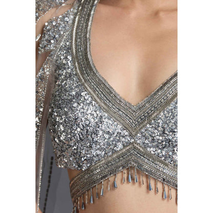 CHAASHNI BY MAANSI & KETAN Grey Embellished Net Lehenga with Choli and Dupatta (Set of 2)