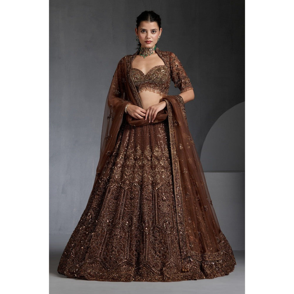 CHAASHNI BY MAANSI & KETAN Brown Embellished Lehenga with Choli and Dupatta (Set of 3)