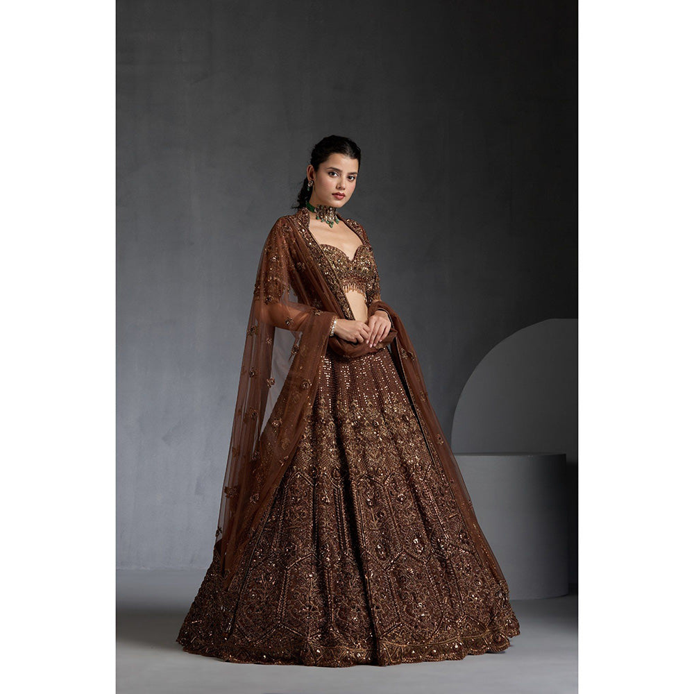 CHAASHNI BY MAANSI & KETAN Brown Embellished Lehenga with Choli and Dupatta (Set of 3)