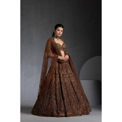 CHAASHNI BY MAANSI & KETAN Brown Embellished Lehenga with Choli and Dupatta (Set of 3)