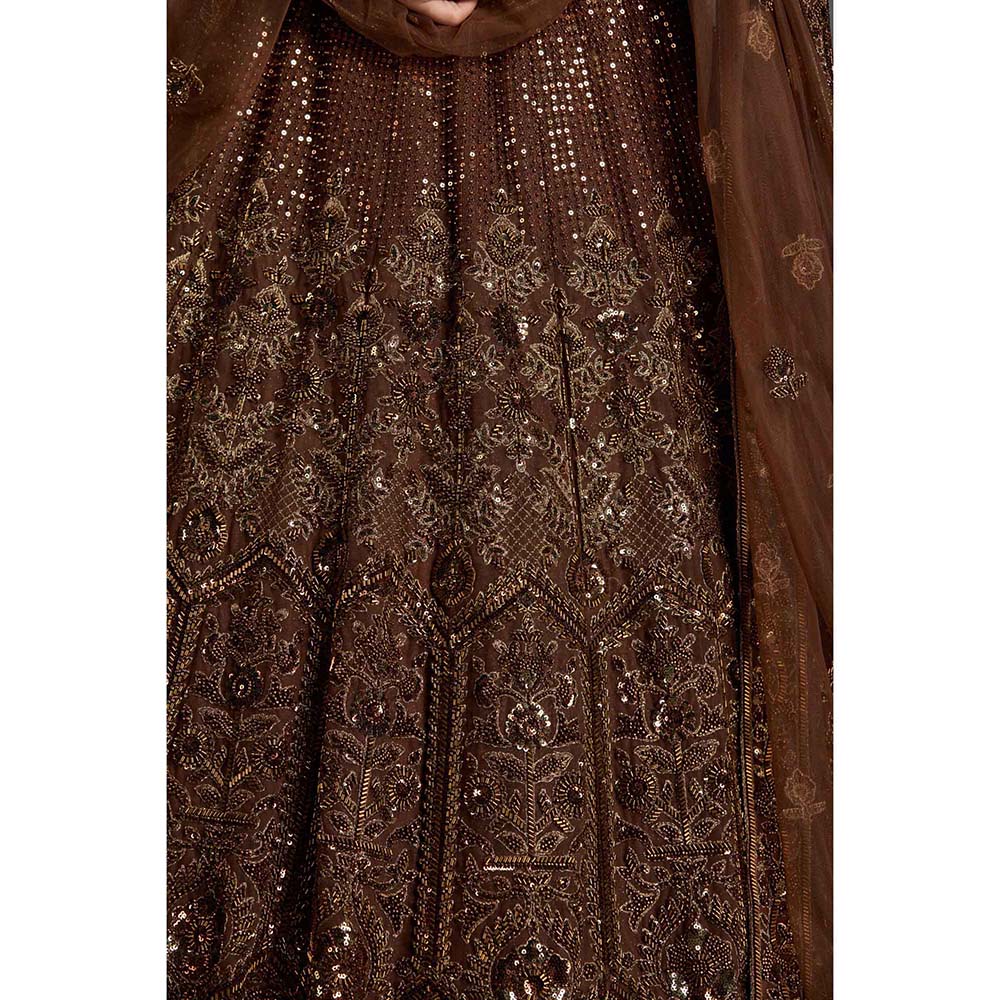 CHAASHNI BY MAANSI & KETAN Brown Embellished Lehenga with Choli and Dupatta (Set of 3)