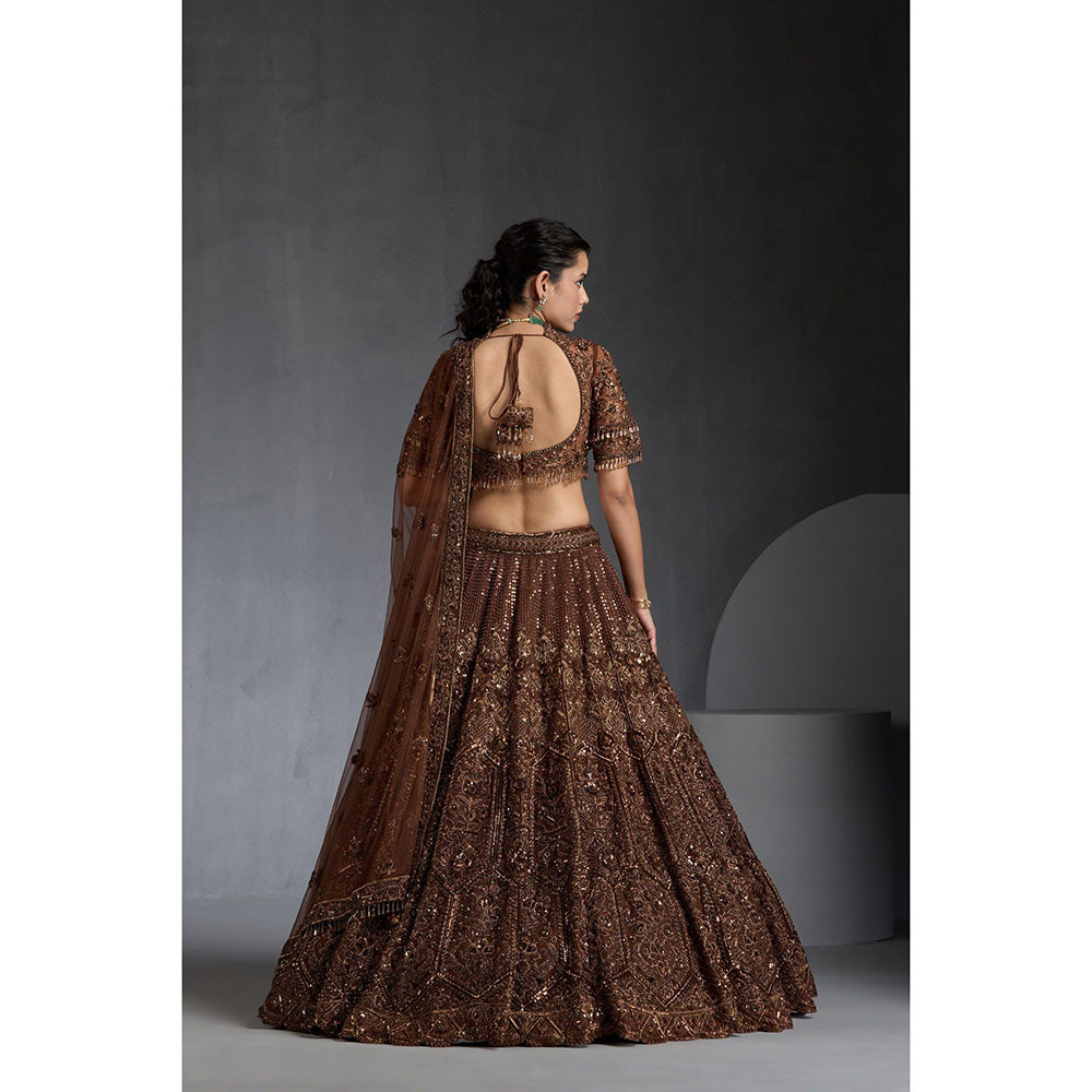 CHAASHNI BY MAANSI & KETAN Brown Embellished Lehenga with Choli and Dupatta (Set of 3)