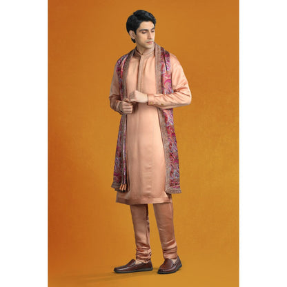 CHAR CHAAND Beige Brown Aari-Zardozi Embellished Kurta with Churidar & Dupatta (Set of 3)