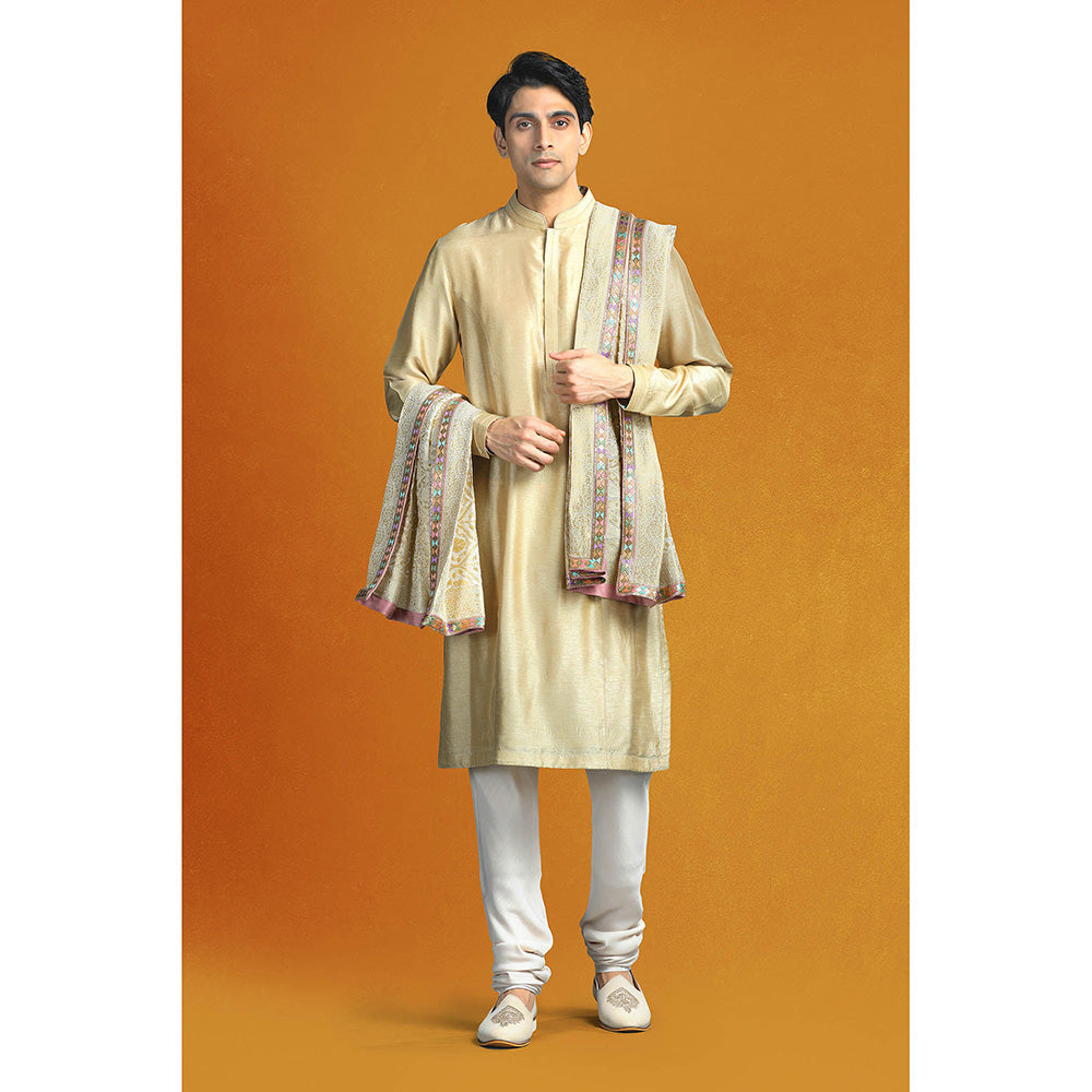 CHAR CHAAND Beige Sherwani Set with Vertical Floral Embroidery