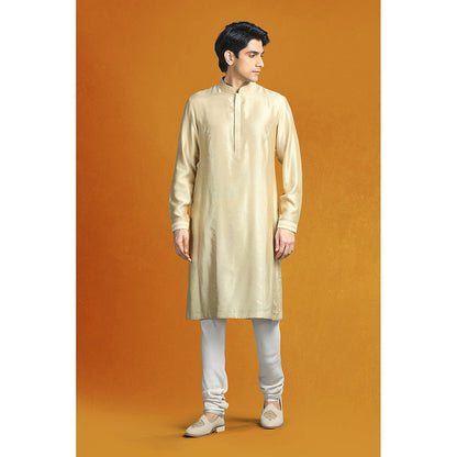CHAR CHAAND Beige Sherwani Set with Vertical Floral Embroidery