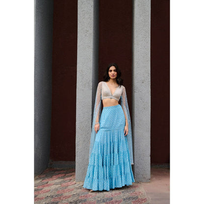 Chamee and Palak Blue Abha Skirt with Blouse (Set of 2)