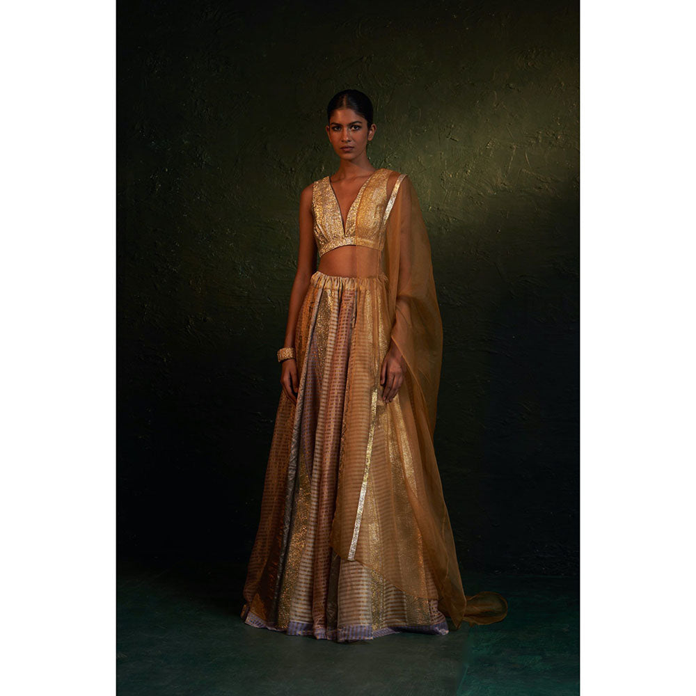 Charkhee Midas Tissue Lehenga (Set of 3)