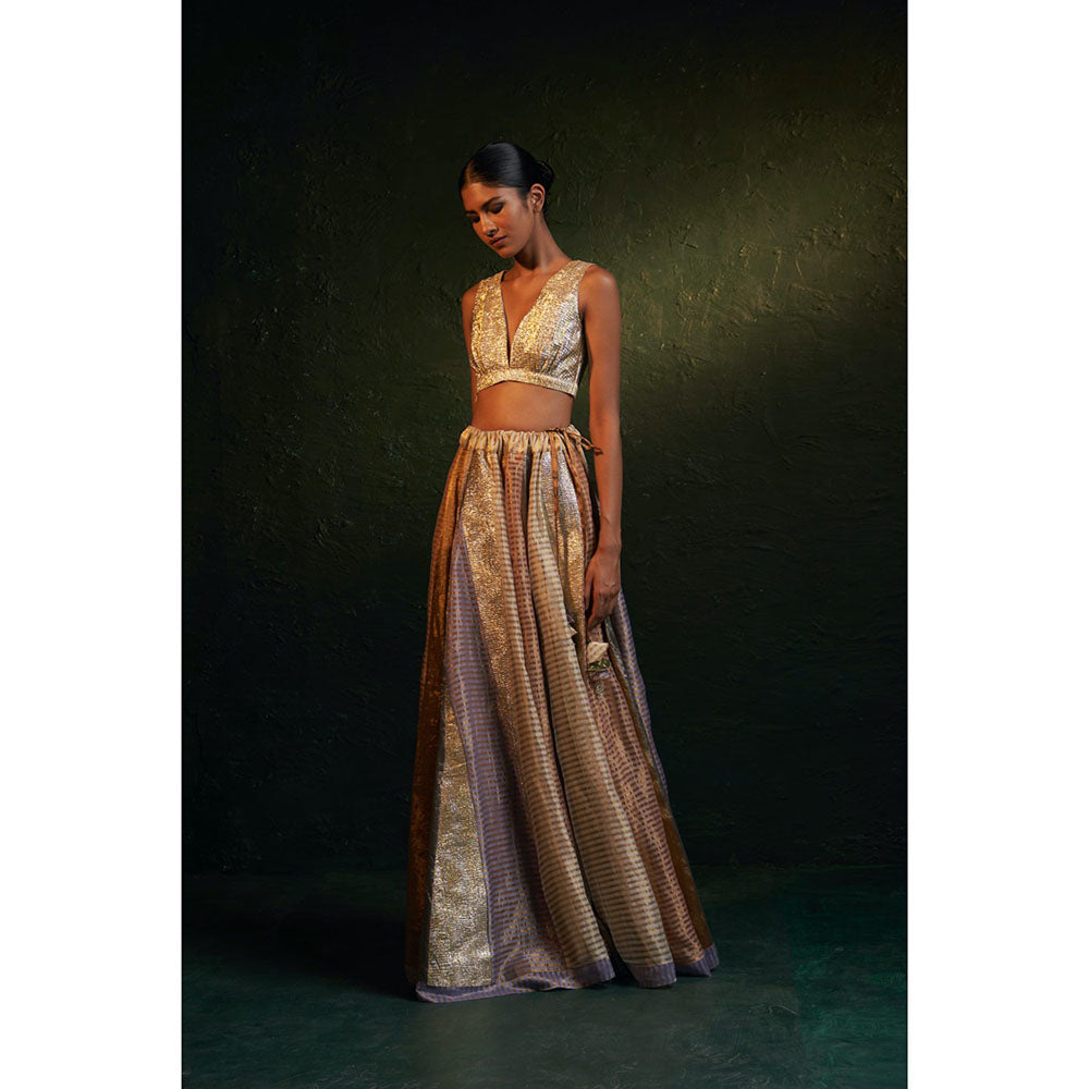 Charkhee Midas Tissue Lehenga (Set of 3)