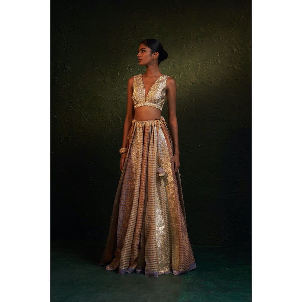 Charkhee Midas Tissue Lehenga (Set of 3)