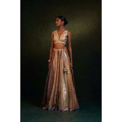 Charkhee Midas Tissue Lehenga (Set of 3)