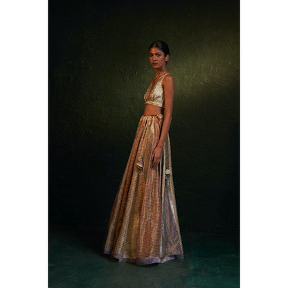 Charkhee Midas Tissue Lehenga (Set of 3)