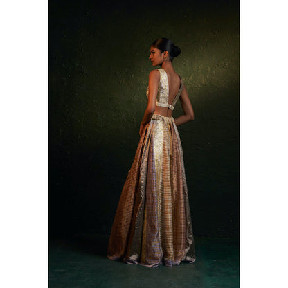 Charkhee Midas Tissue Lehenga (Set of 3)