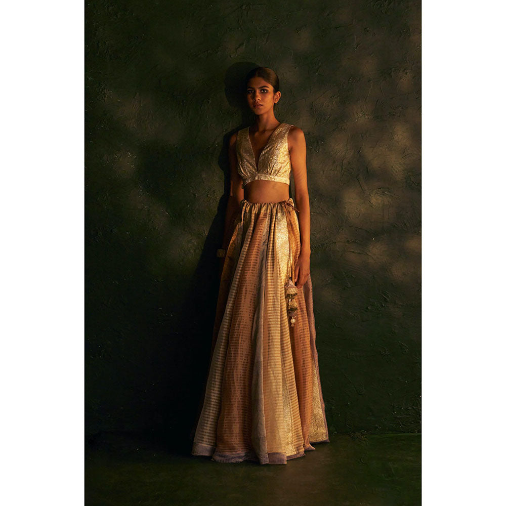 Charkhee Midas Tissue Lehenga (Set of 3)