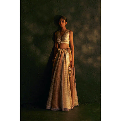 Charkhee Midas Tissue Lehenga (Set of 3)