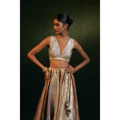 Charkhee Midas Tissue Lehenga (Set of 3)