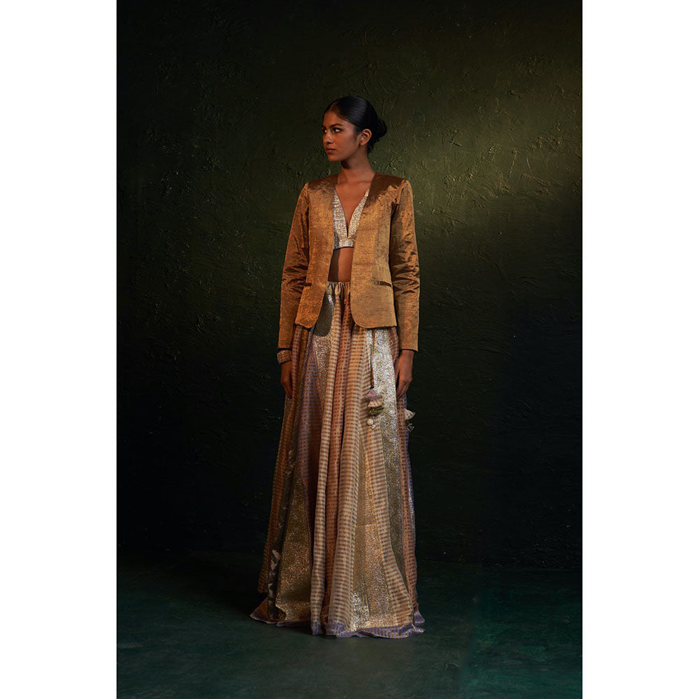 Charkhee Midas Tissue Lehenga With Blazer (Set of 3)