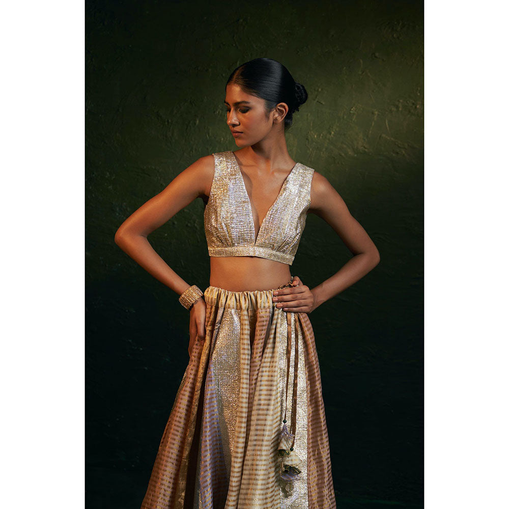 Charkhee Midas Tissue Lehenga With Blazer (Set of 3)