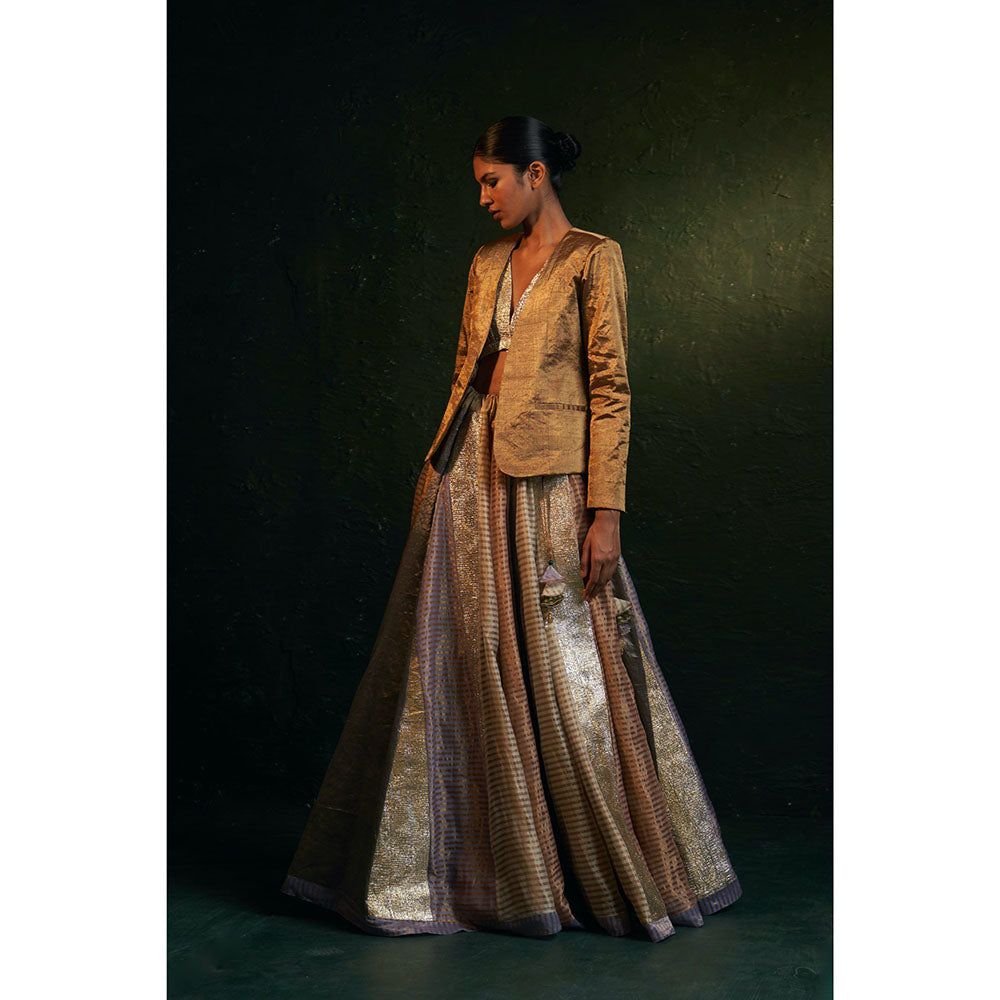 Charkhee Midas Tissue Lehenga With Blazer (Set of 3)