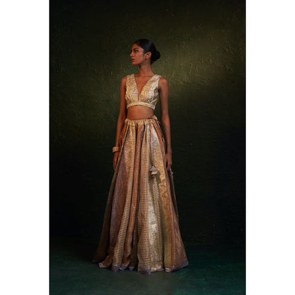 Charkhee Midas Tissue Lehenga With Blazer (Set of 3)