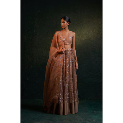 Charkhee Midas Ginger Organza Hand Embroidered Lehenga (Set of 3)