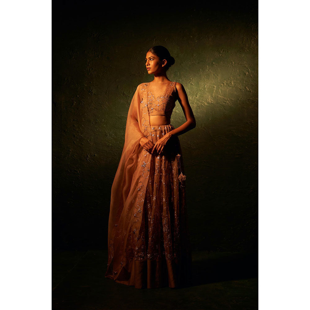 Charkhee Midas Ginger Organza Hand Embroidered Lehenga (Set of 3)
