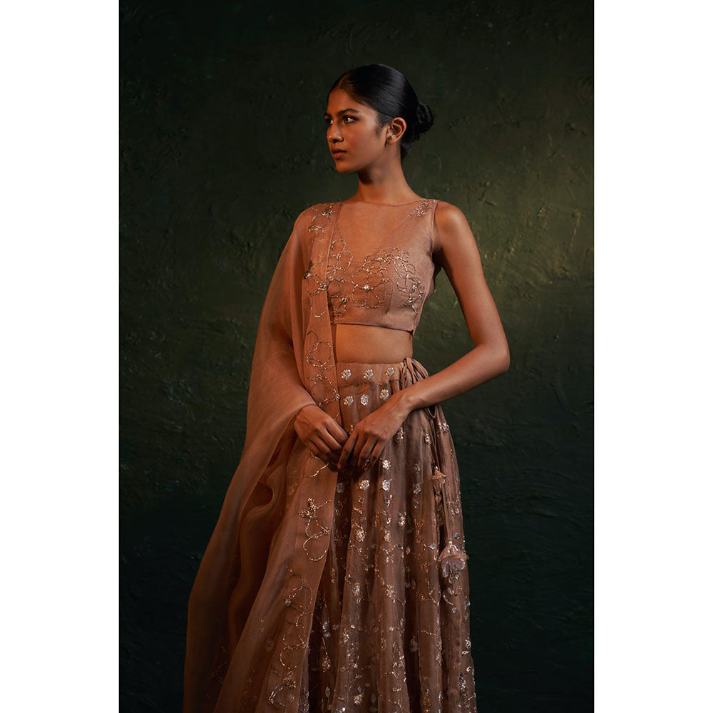 Charkhee Midas Ginger Organza Hand Embroidered Lehenga (Set of 3)