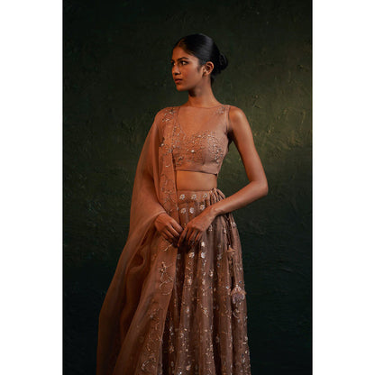Charkhee Midas Ginger Organza Hand Embroidered Lehenga (Set of 3)