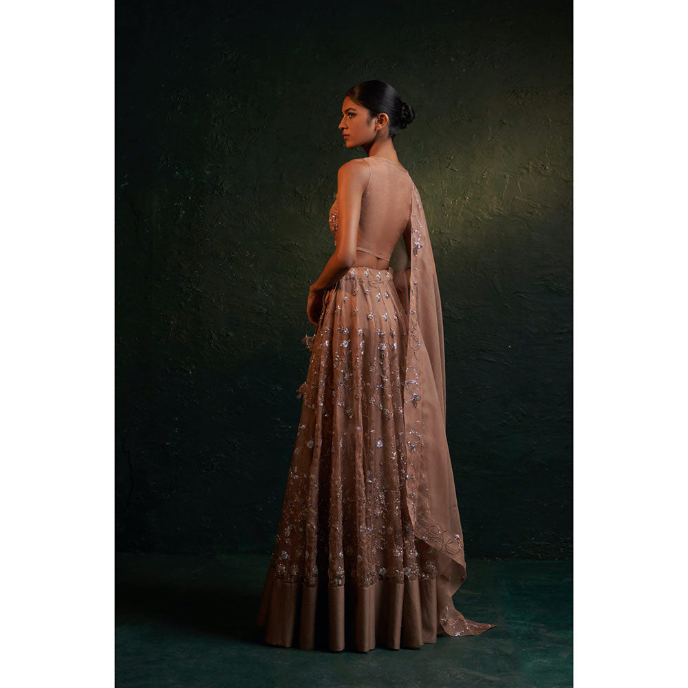 Charkhee Midas Ginger Organza Hand Embroidered Lehenga (Set of 3)