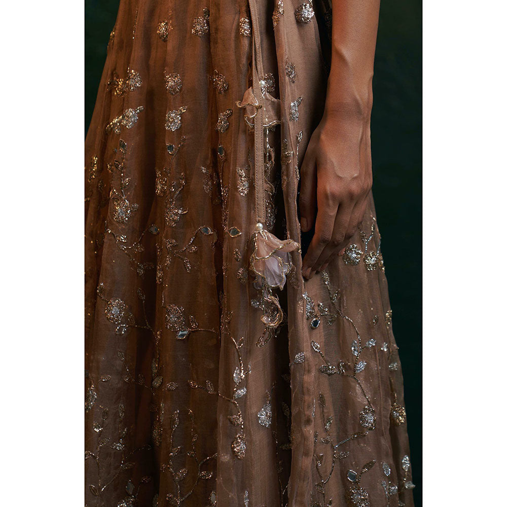 Charkhee Midas Ginger Organza Hand Embroidered Lehenga (Set of 3)