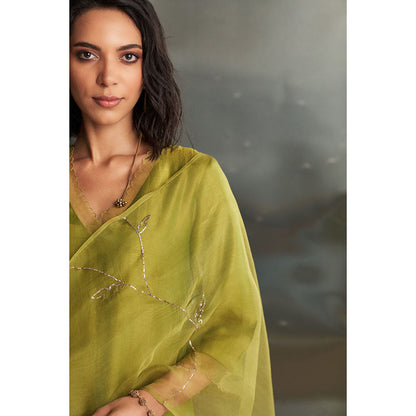 Charkhee Berry Green Chanderi Straight Kurta with Pant & Dupatta (Set of 3)