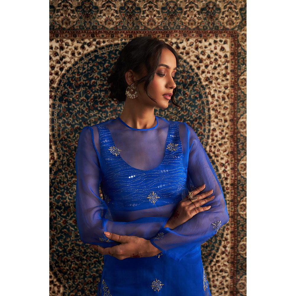 Charkhee Blue Neel Embroidered Straight Kurta with Bustier and Pant (Set of 3)