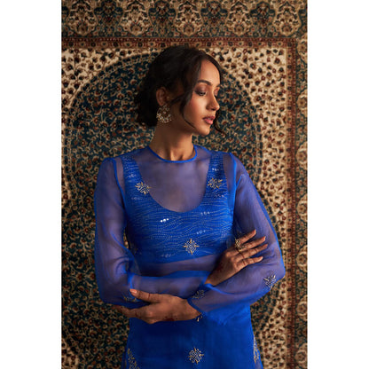 Charkhee Blue Neel Embroidered Straight Kurta with Bustier and Pant (Set of 3)