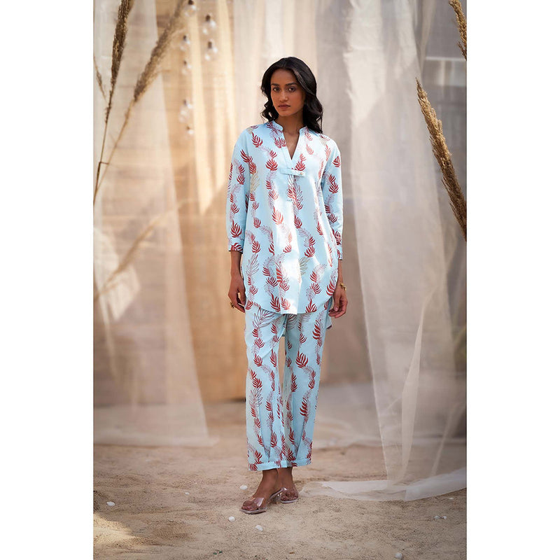 Charkhee Blue Printed Co-Ord (Set of 2)