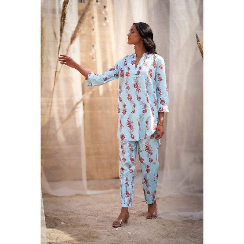 Charkhee Blue Printed Co-Ord (Set of 2)