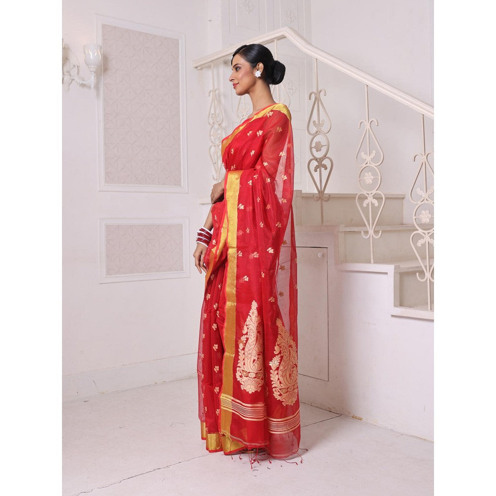 CHARUKRITI Red Cotton Zari Border Saree with Unstitched Blouse