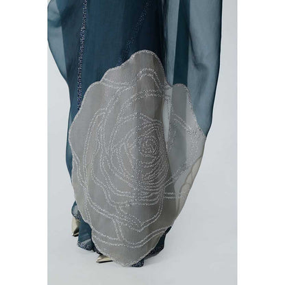 CHHAYA MEHROTRA Blue Gaia Saree with Bustier