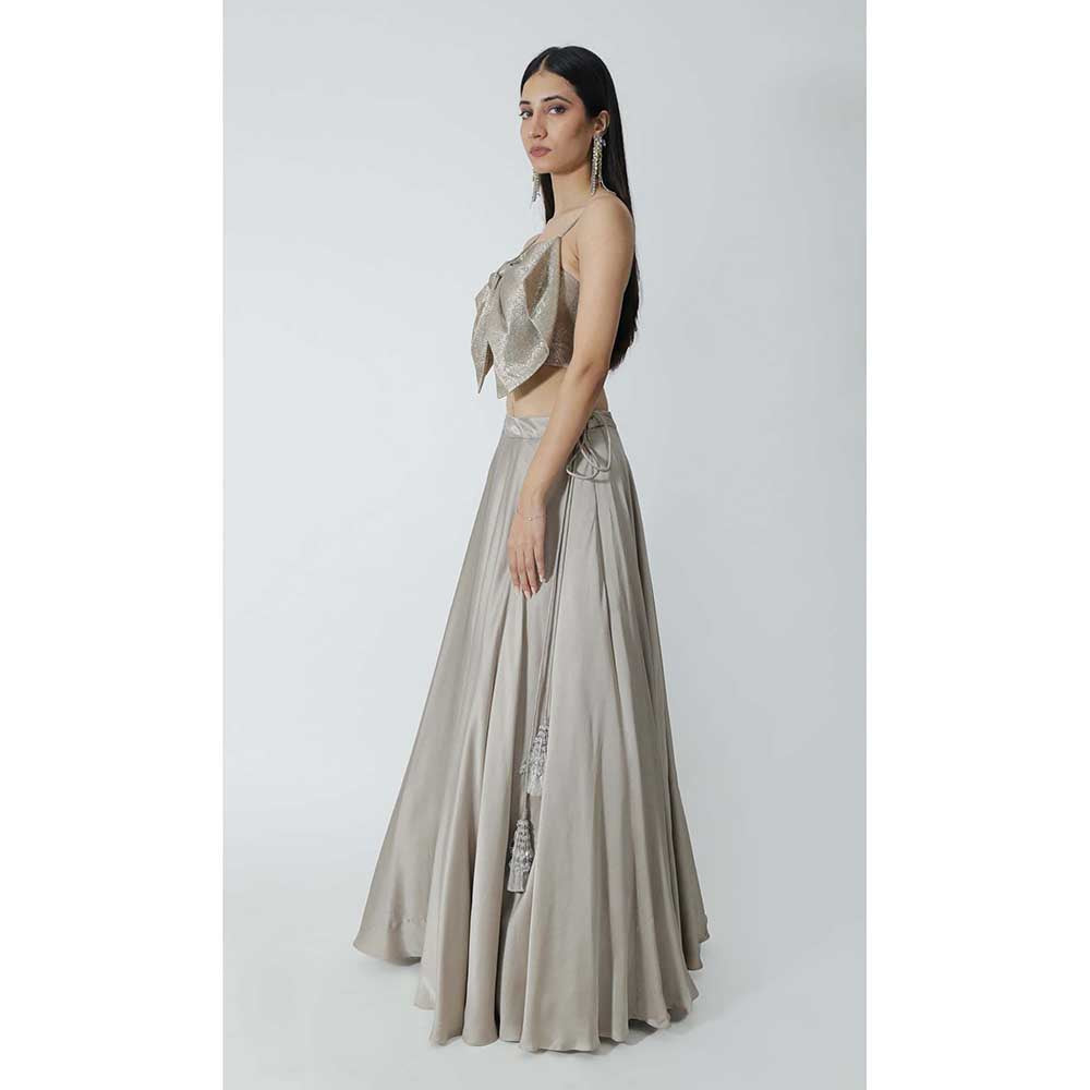 CHHAYA MEHROTRA Grey Mirri Lehenga with Crop Top (Set of 2)