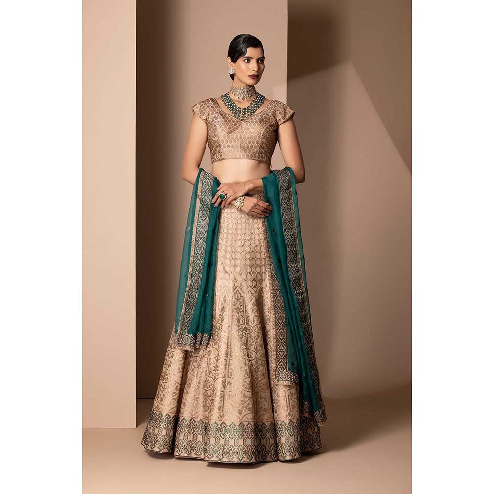 CHHAYA MEHROTRA Gold Kanak Lehenga with Blouse and Dupatta (Set of 3)