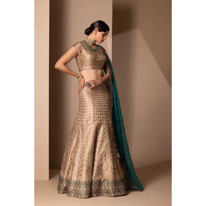 CHHAYA MEHROTRA Gold Kanak Lehenga with Blouse and Dupatta (Set of 3)