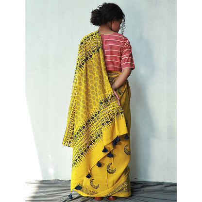 Chidiyaa Daisy Cotton Saree Fmtm with Unstitched Blouse